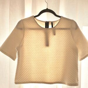 Elegant Cream Women's crop Top